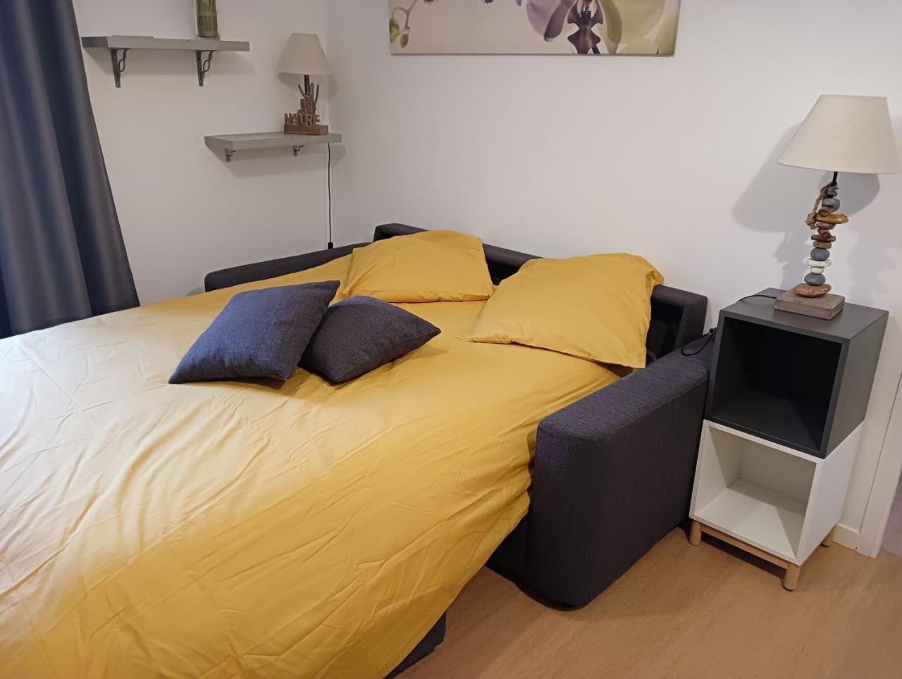 La Marmotte Appartement T2 Classe 3 Etoiles Aulus-les-Bains Exterior photo